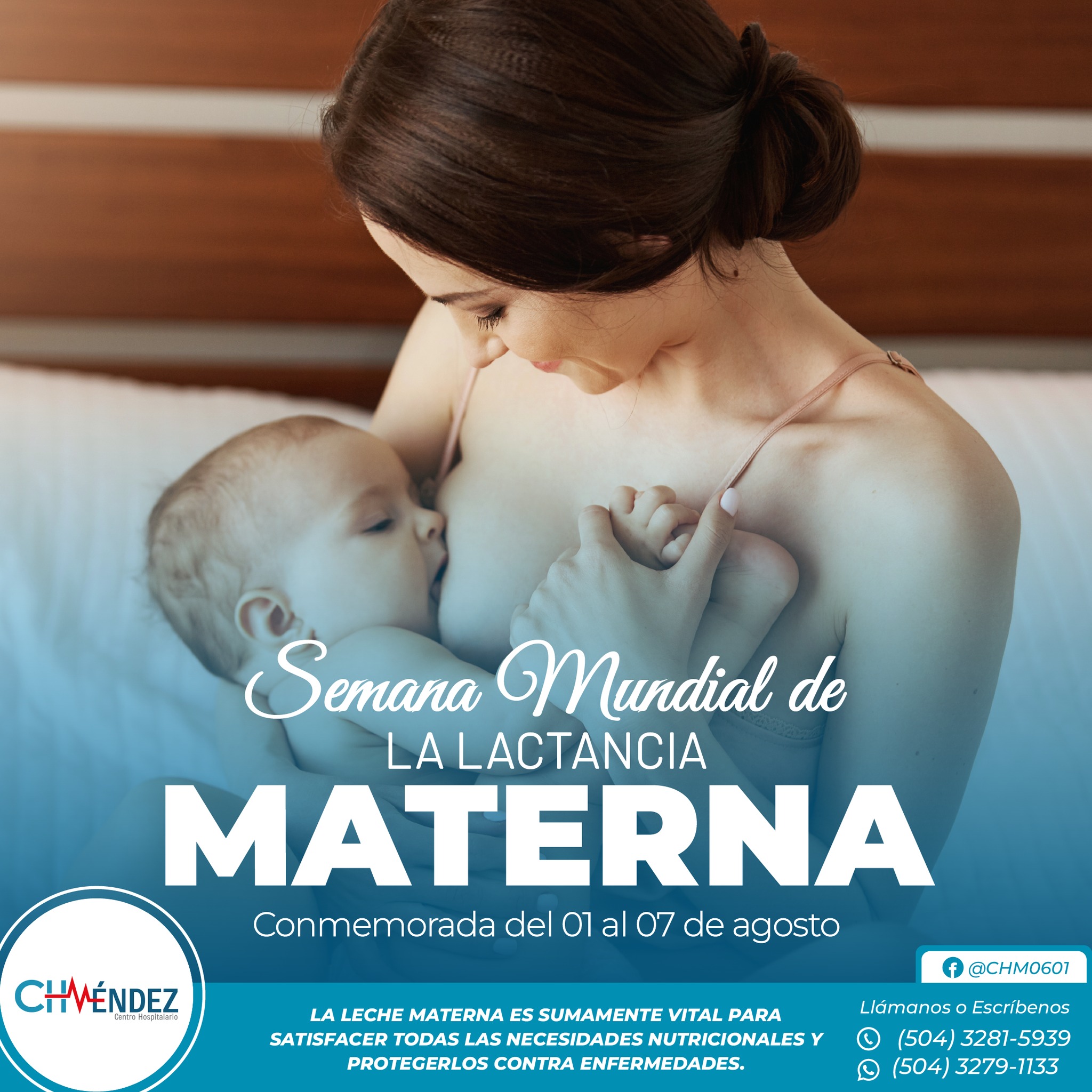 Imagen 6