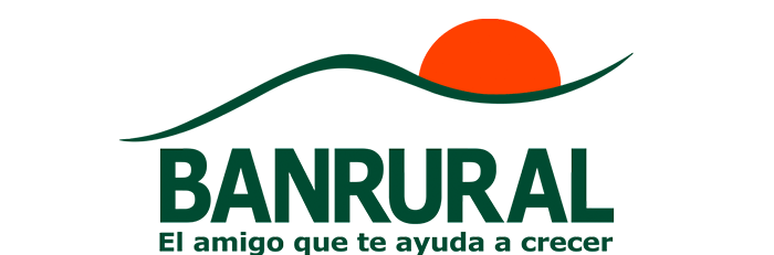 Imagen 6